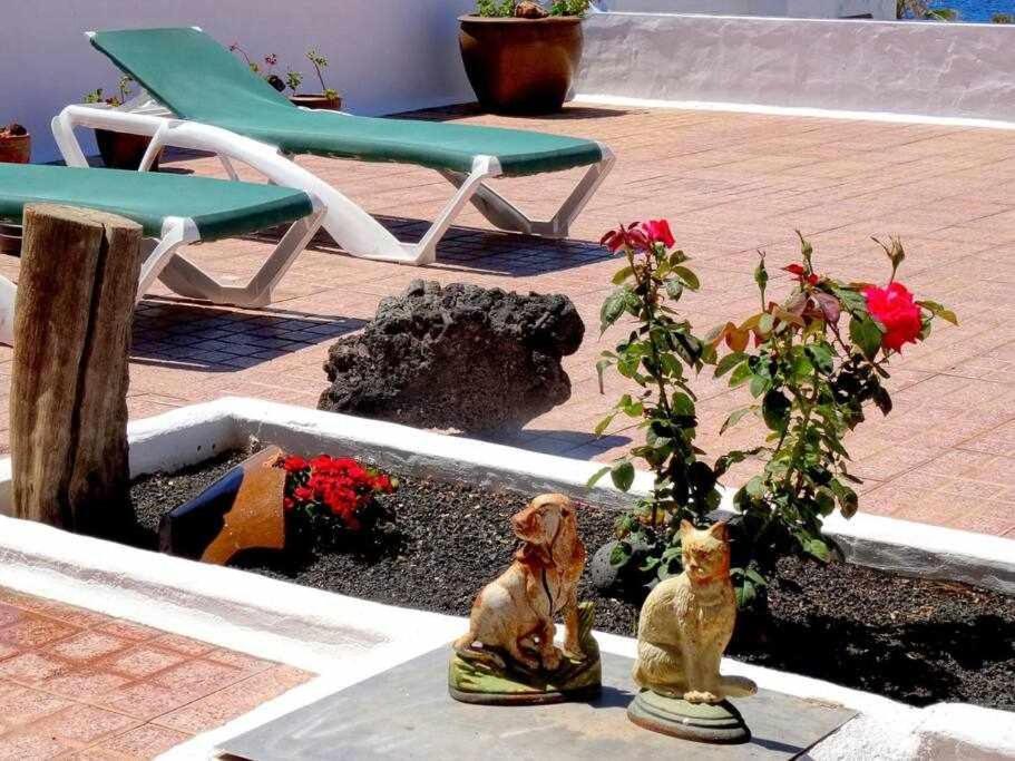 Casa Descanso Con Jacuzzi En ปลายา เกมาดา ภายนอก รูปภาพ